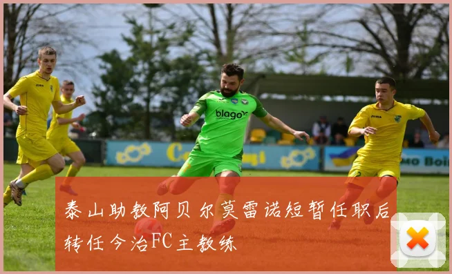 泰山助教阿贝尔莫雷诺短暂任职后转任今治FC主教练